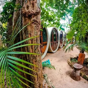 Auberge de jeunesse Tubo, Tulum