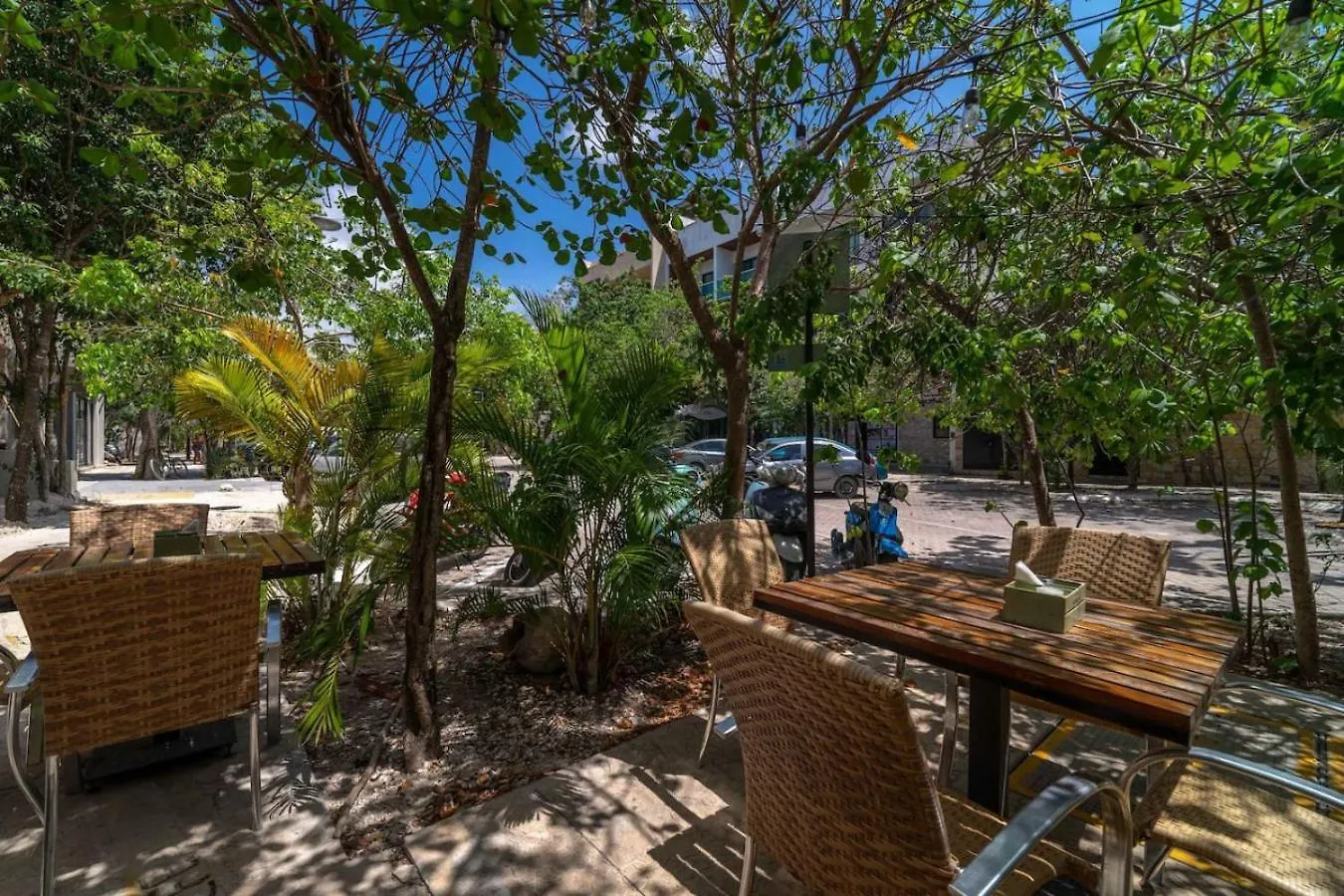 King Studio W Private Balcony Rooftop Pool Gym Tulum 0*,  México